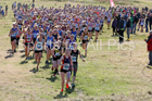 Senior womens Start Fitness NEH, Wrekenton. Photo:  David T. Hewitson/Sports for All Pics